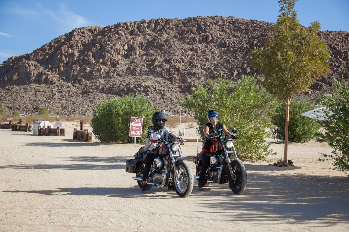 Ladies Take Over Joshua Tree